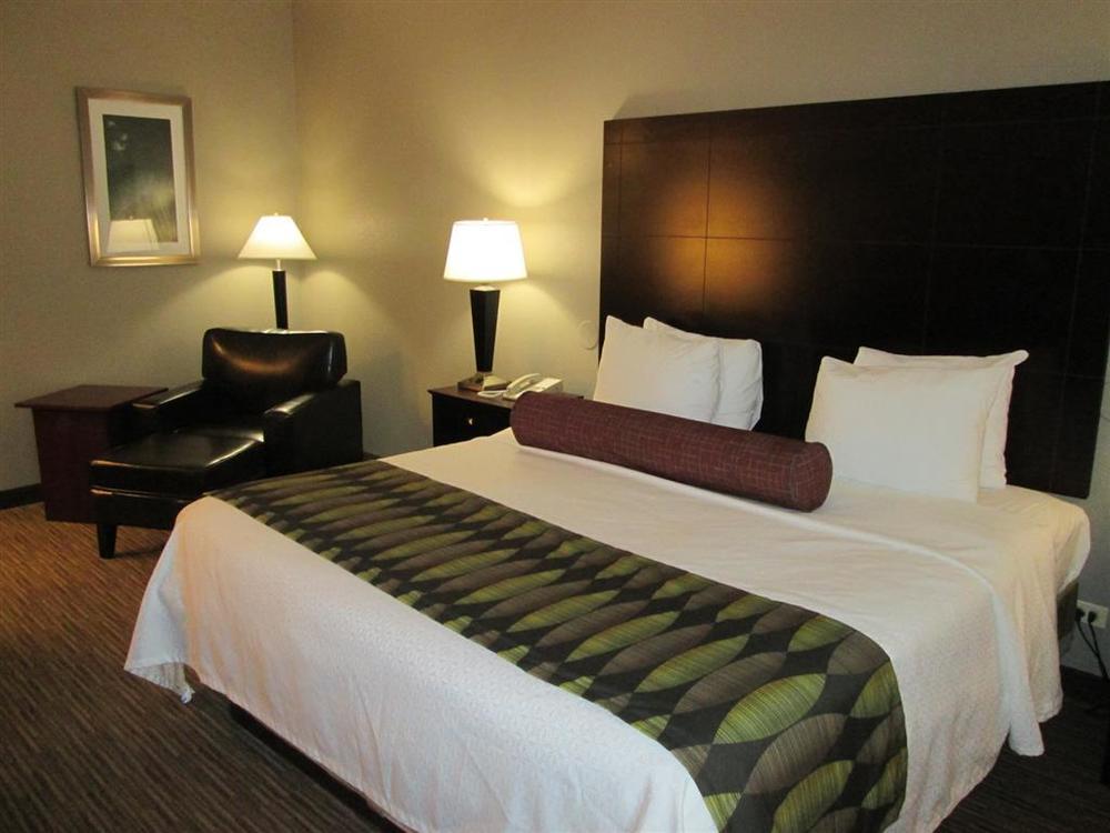 Best Western Plus O'Hare International South Hotel Franklin Park Phòng bức ảnh